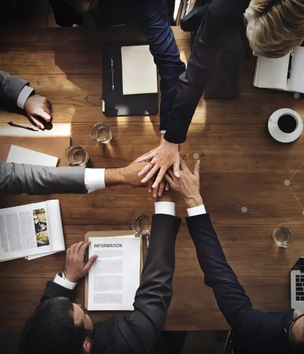 Business Consultancy Services